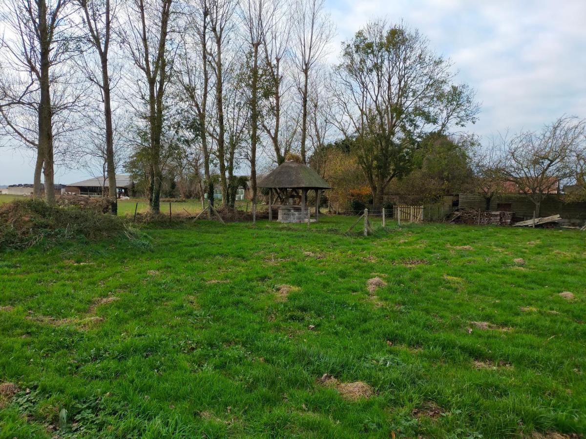 Quiberville Maison Individuelle Neuve Plein Pied Avec Terrasse Et Jardin Clos 10Minutes A Pied De La Plageヴィラ エクステリア 写真